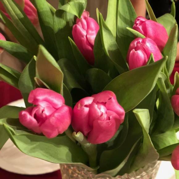 Meet your Posher, Julia - Picture 1 of 1